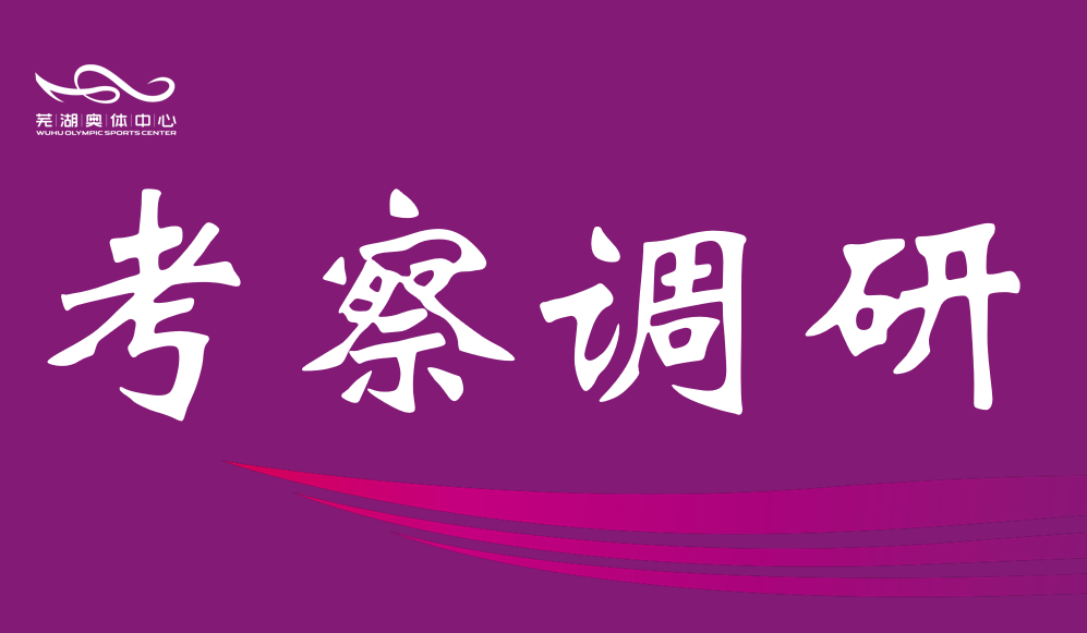 芜湖市政协调研摩登4中心